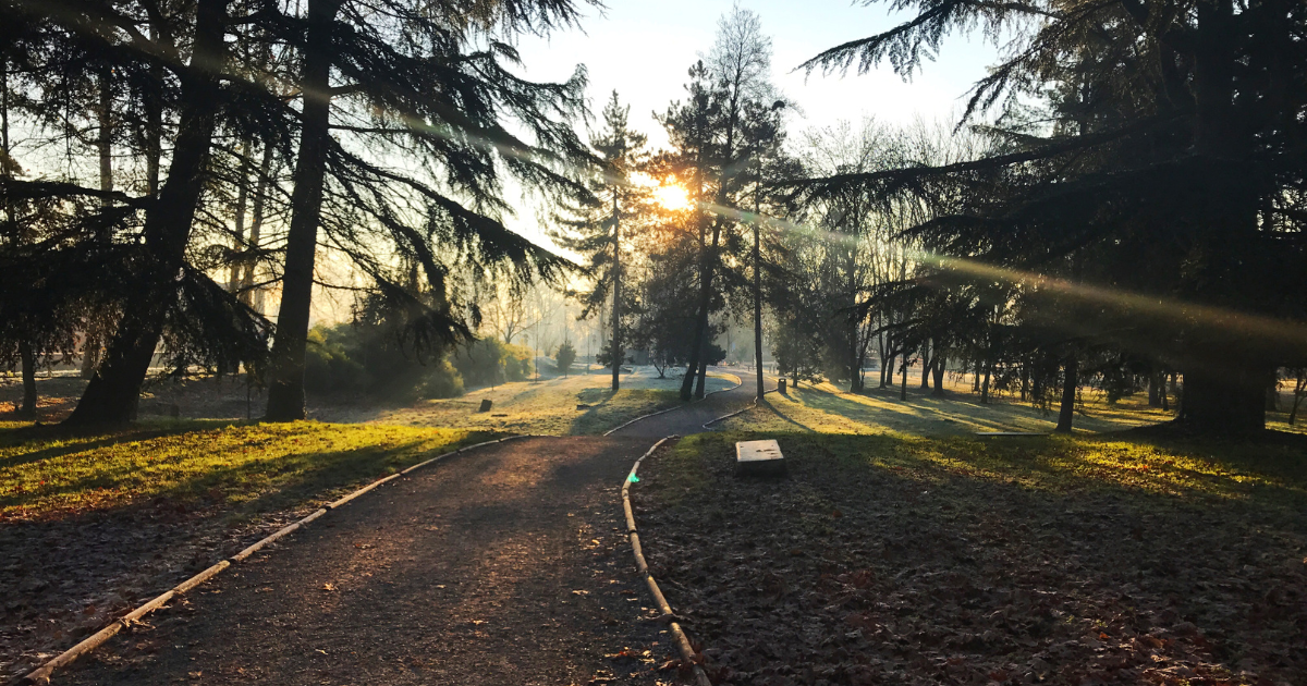 Laagstaande zon in de herfst tips om veilig te rijden